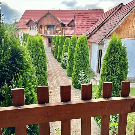 Pensiunea Casa Nina Cîrţişoara Bagian luar foto