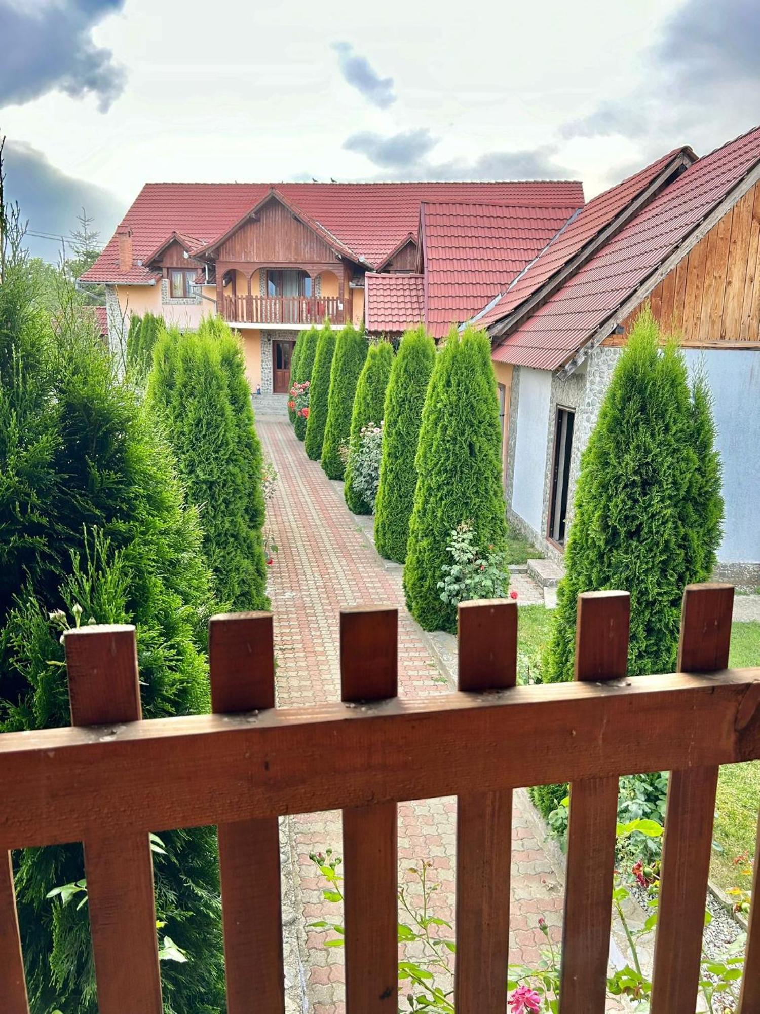 Pensiunea Casa Nina Cîrţişoara Bagian luar foto