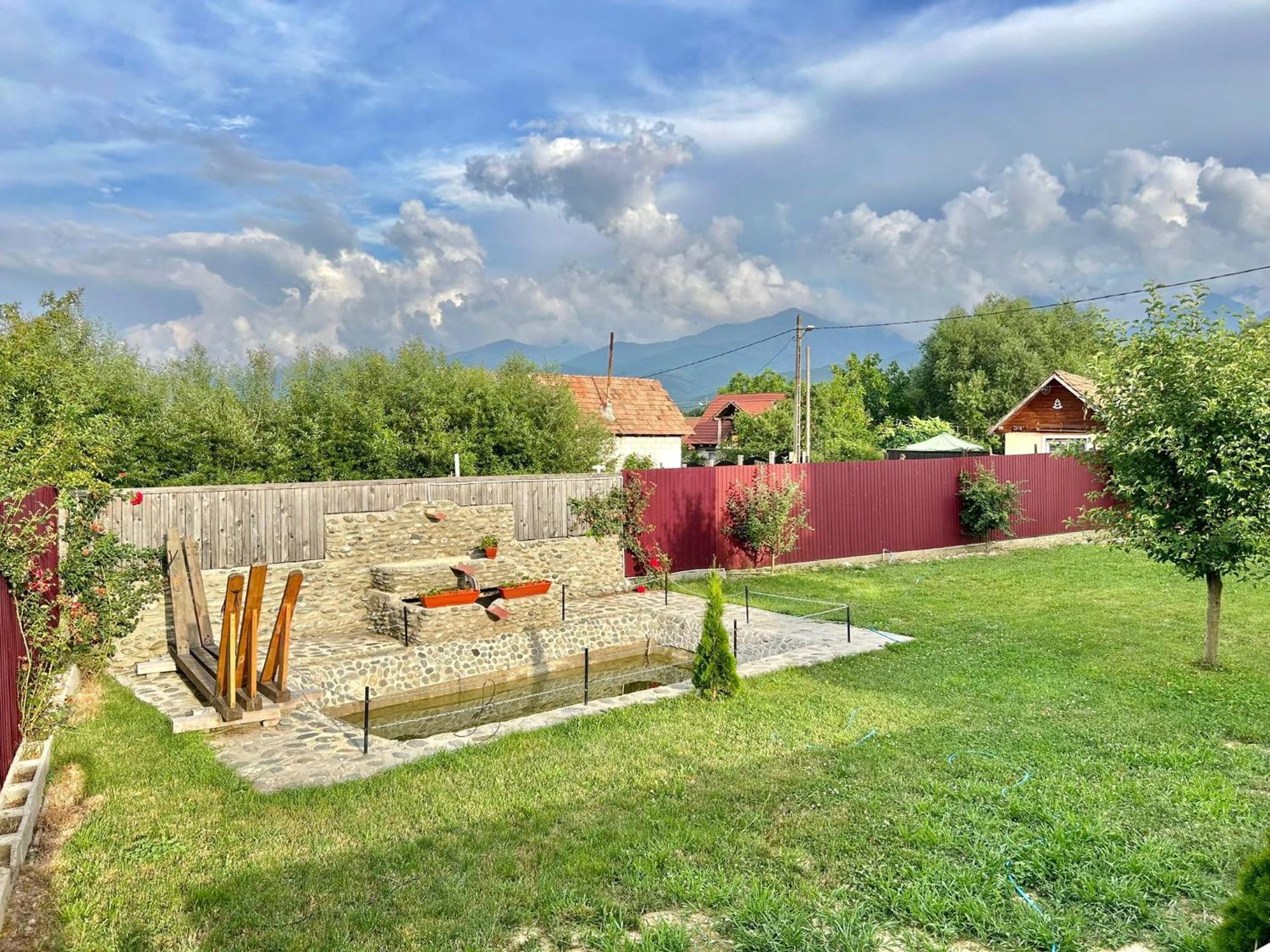 Pensiunea Casa Nina Cîrţişoara Bagian luar foto