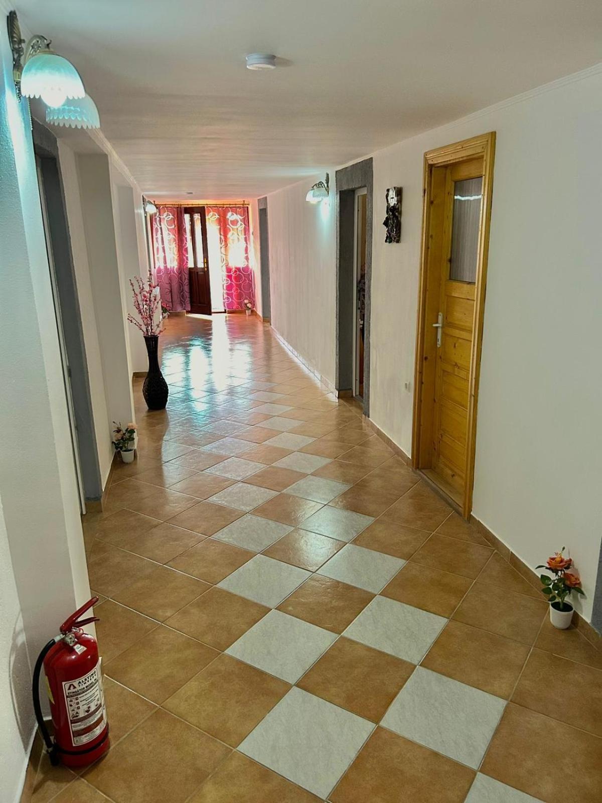 Pensiunea Casa Nina Cîrţişoara Bagian luar foto