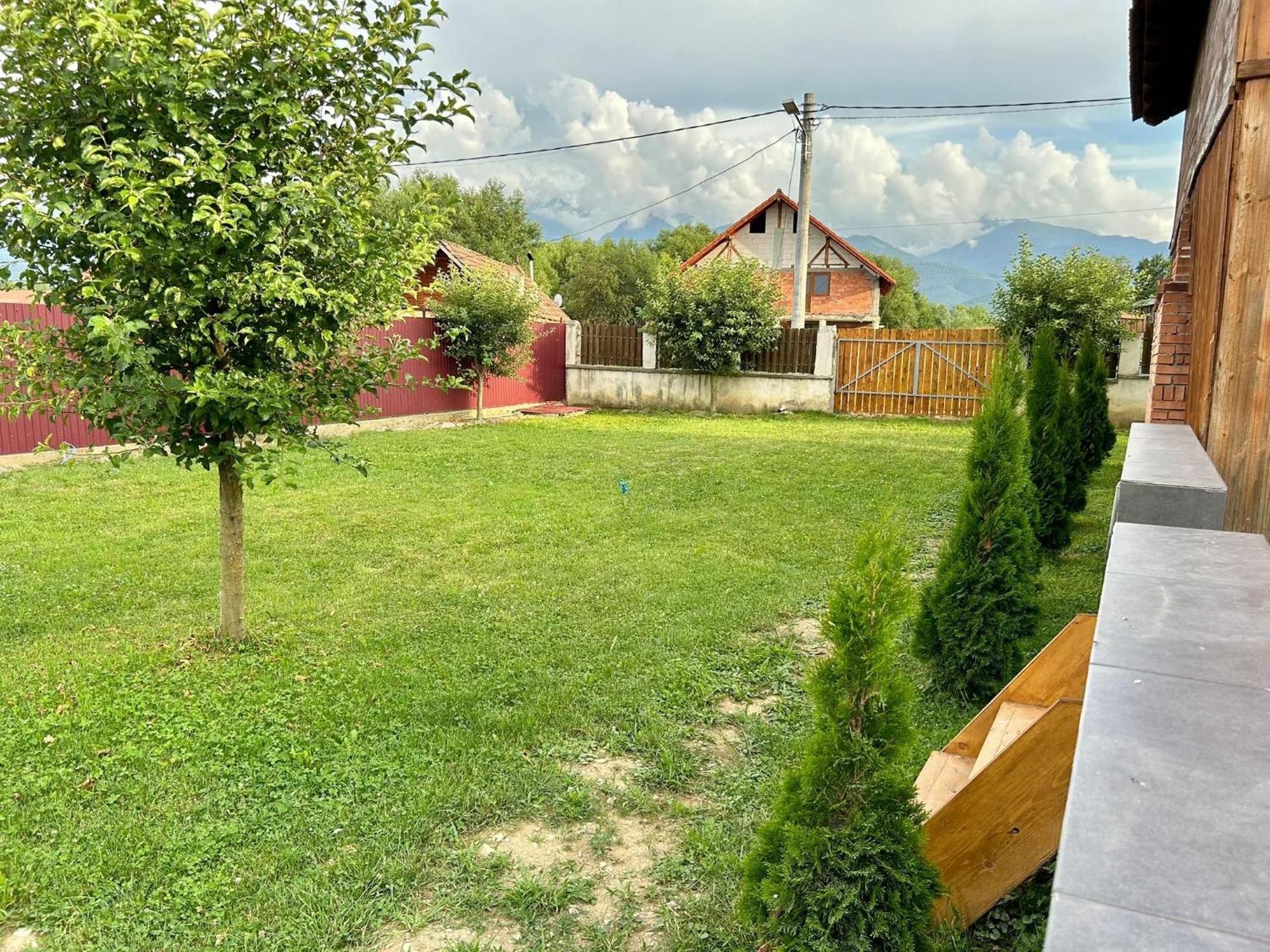 Pensiunea Casa Nina Cîrţişoara Bagian luar foto
