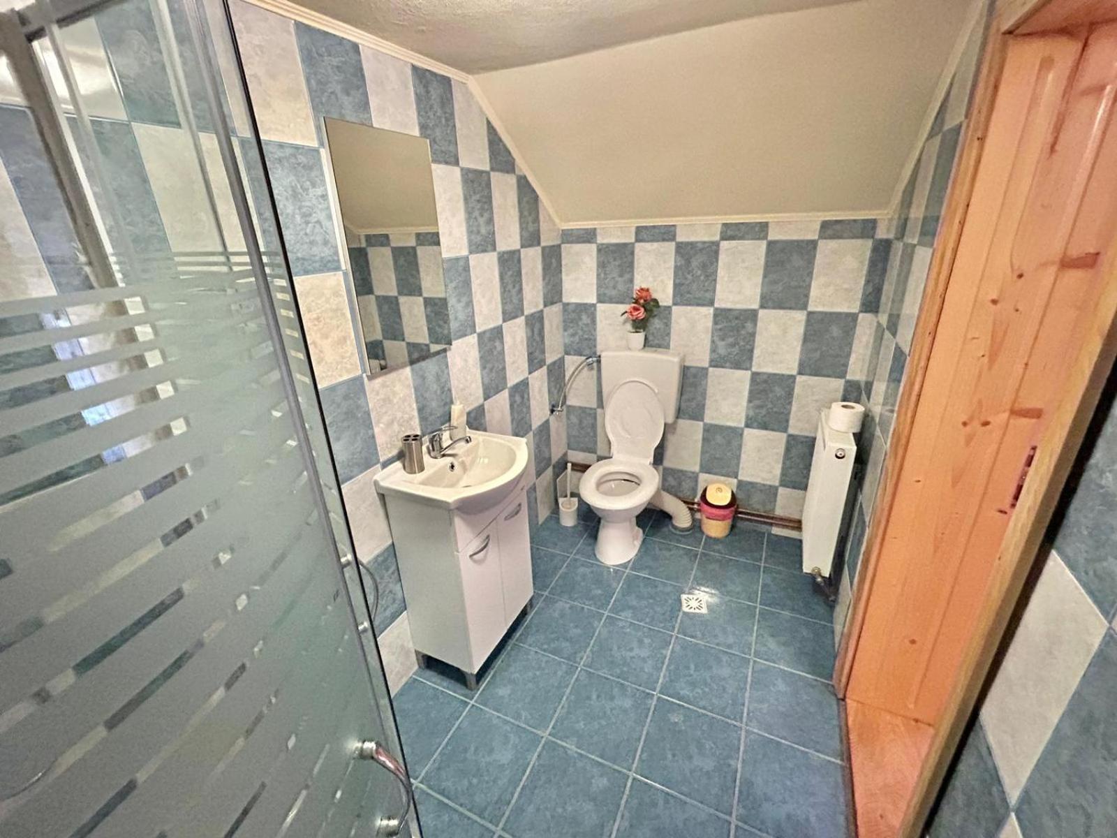 Pensiunea Casa Nina Cîrţişoara Ruang foto