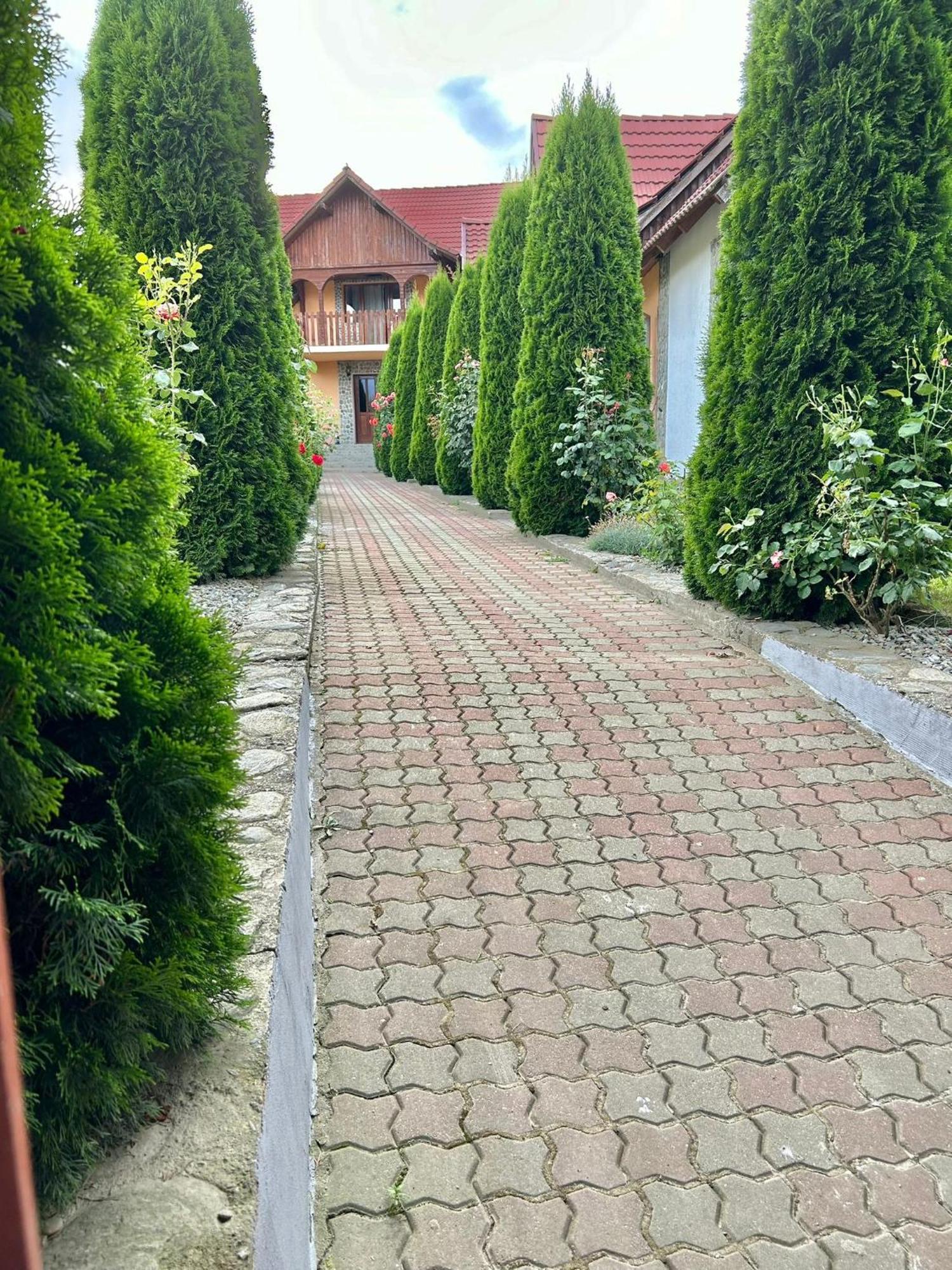Pensiunea Casa Nina Cîrţişoara Bagian luar foto