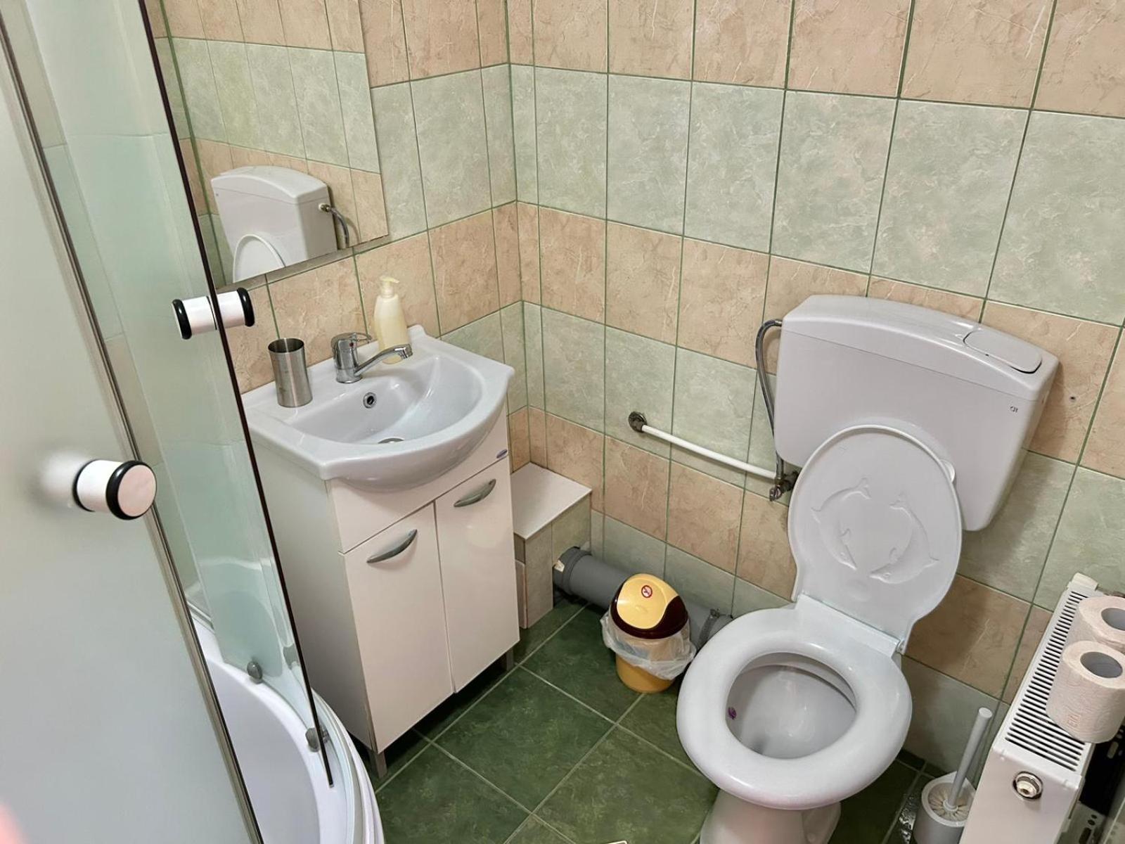 Pensiunea Casa Nina Cîrţişoara Ruang foto