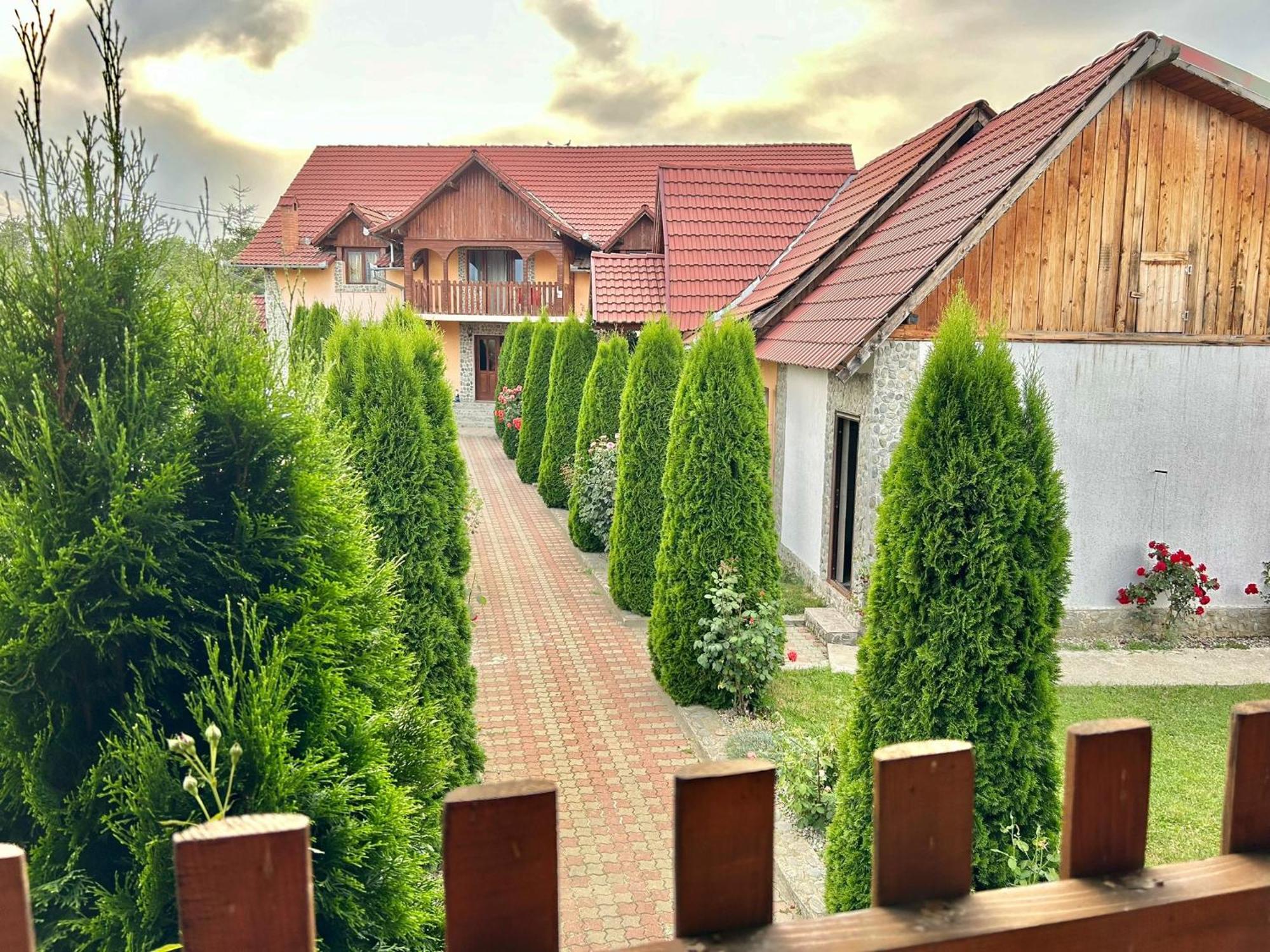 Pensiunea Casa Nina Cîrţişoara Bagian luar foto