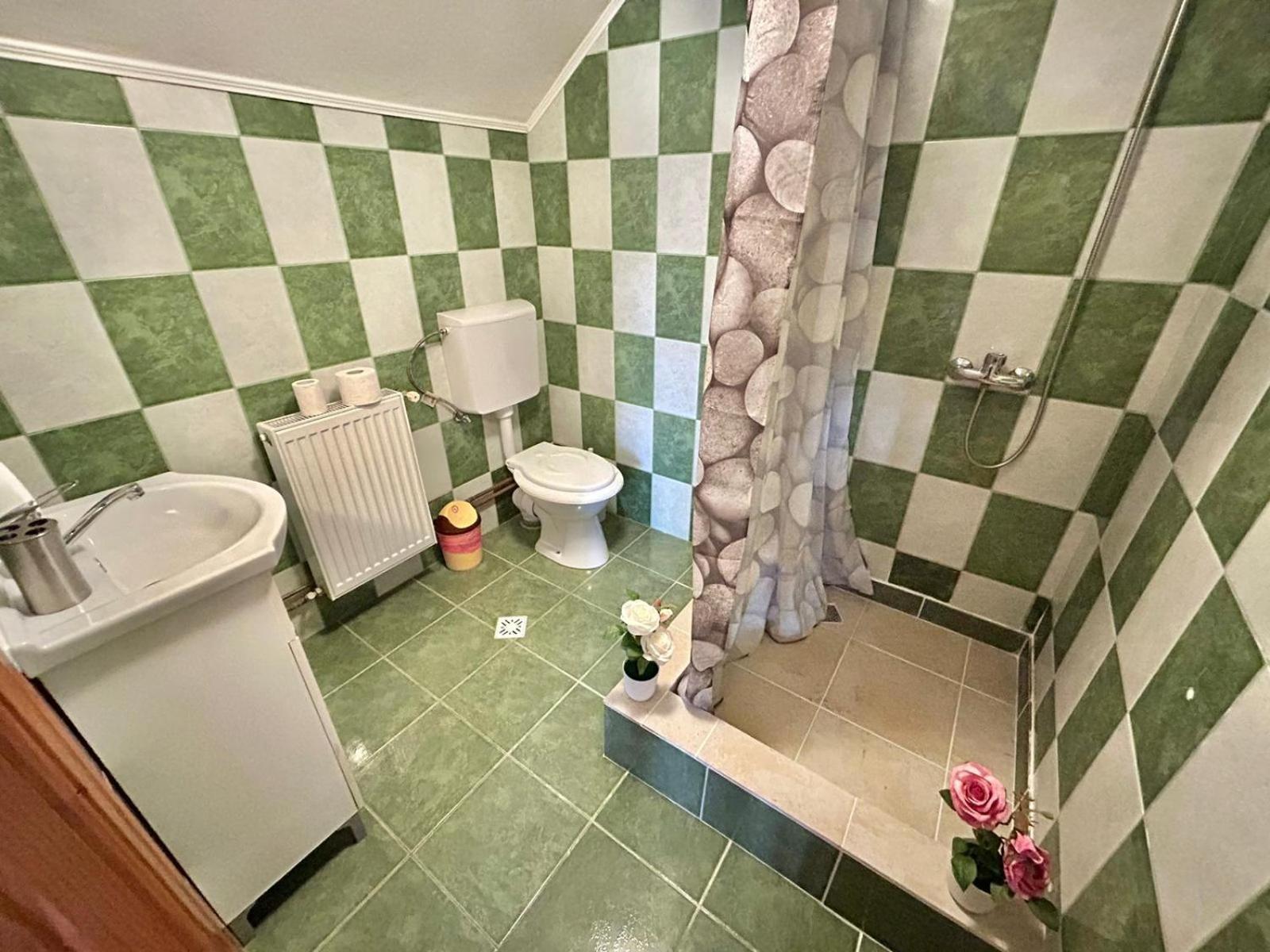 Pensiunea Casa Nina Cîrţişoara Ruang foto