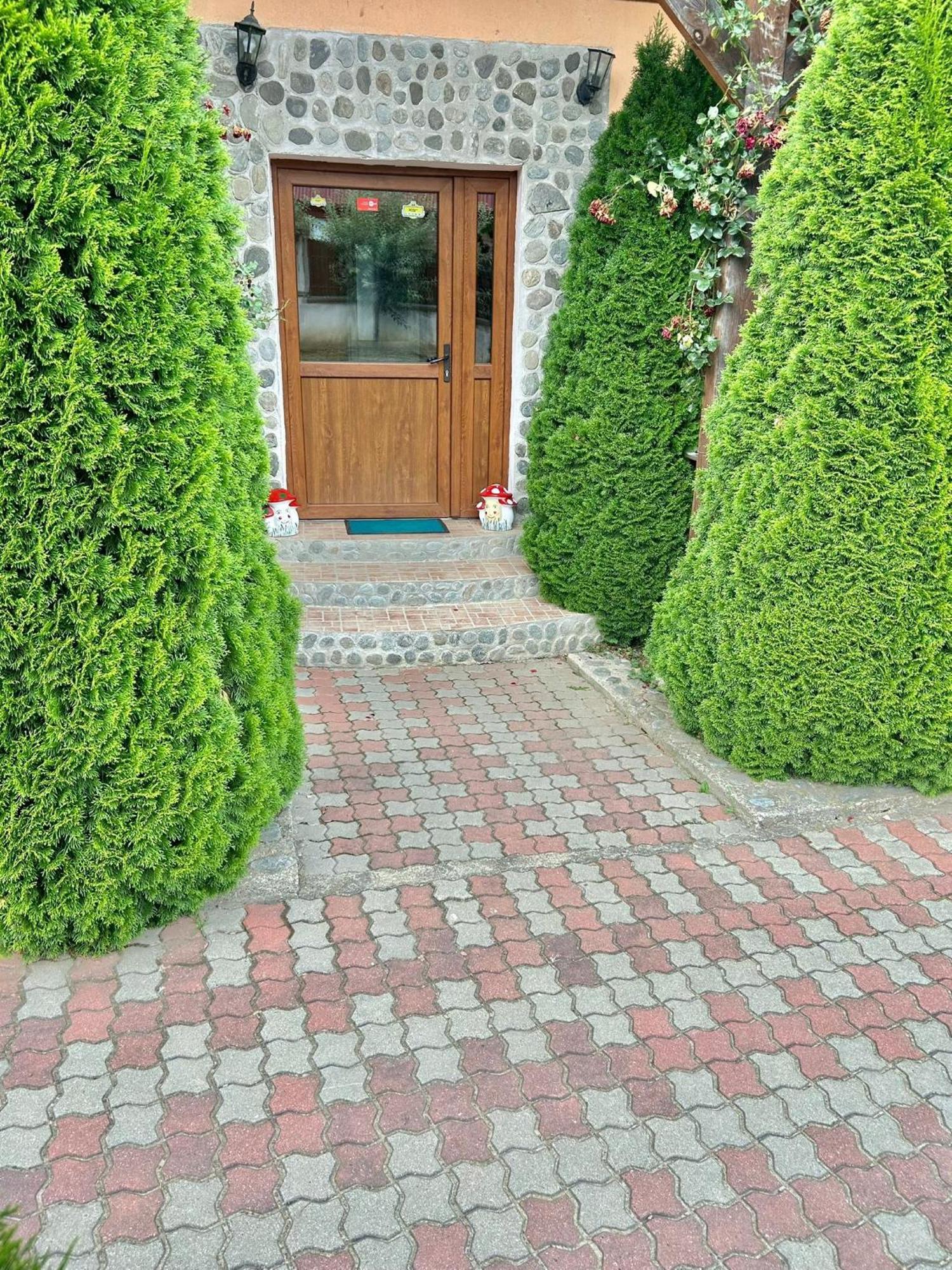 Pensiunea Casa Nina Cîrţişoara Bagian luar foto