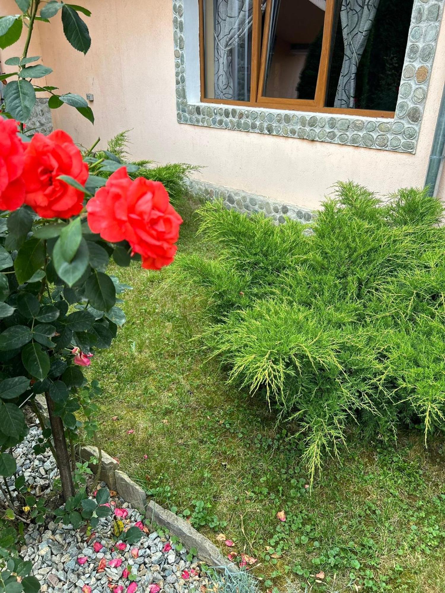 Pensiunea Casa Nina Cîrţişoara Bagian luar foto