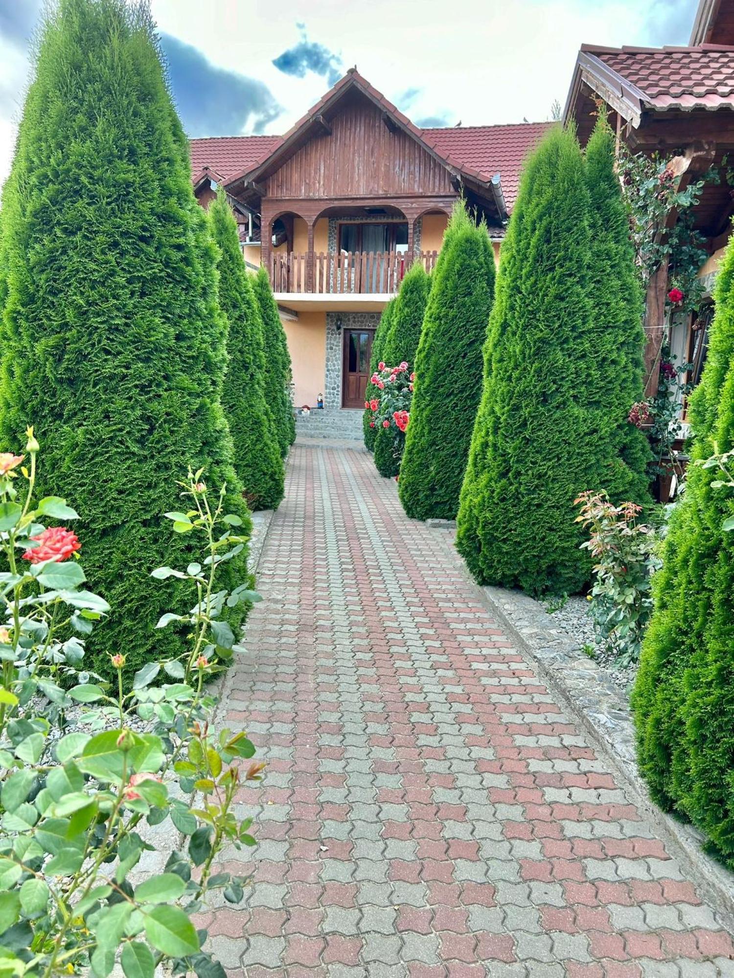 Pensiunea Casa Nina Cîrţişoara Bagian luar foto