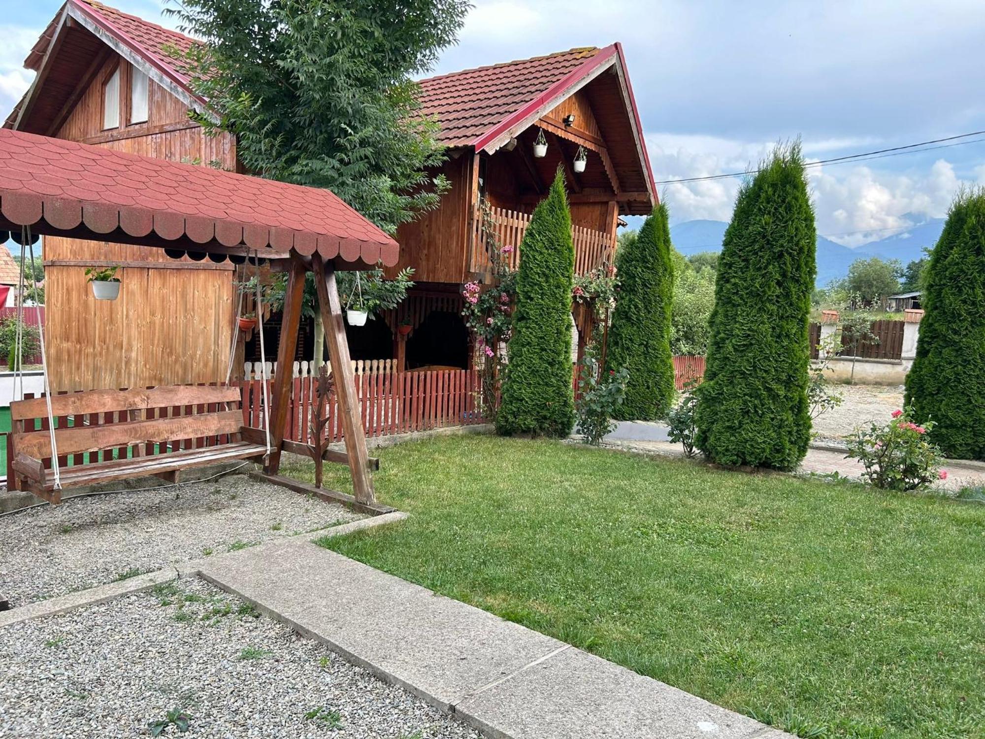 Pensiunea Casa Nina Cîrţişoara Bagian luar foto