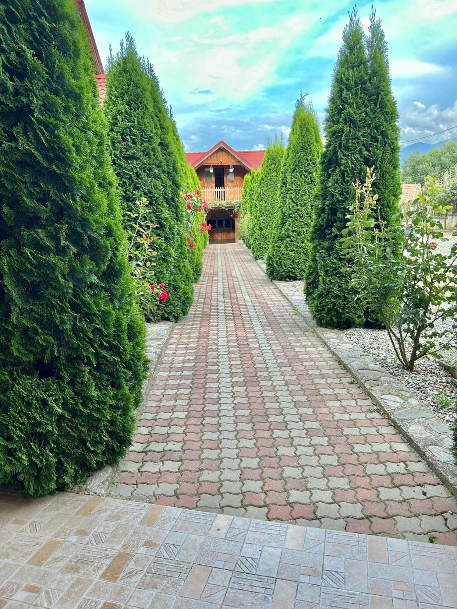 Pensiunea Casa Nina Cîrţişoara Bagian luar foto